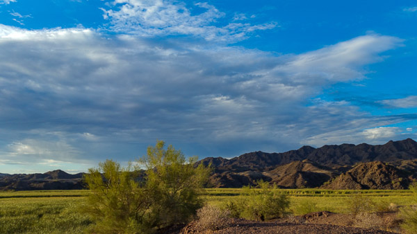 Bill Williams River National Wildlife Refuge